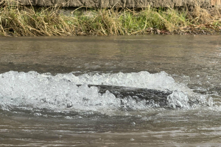 Bodrum’da yine aynı hat patladı: Evler sular altında kaldı