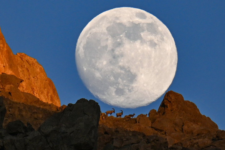 Dolunayın önünde poz verdiler