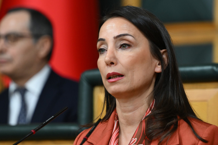 DEM Parti, Fidan'ın sözlerini 'talihsiz' buldu