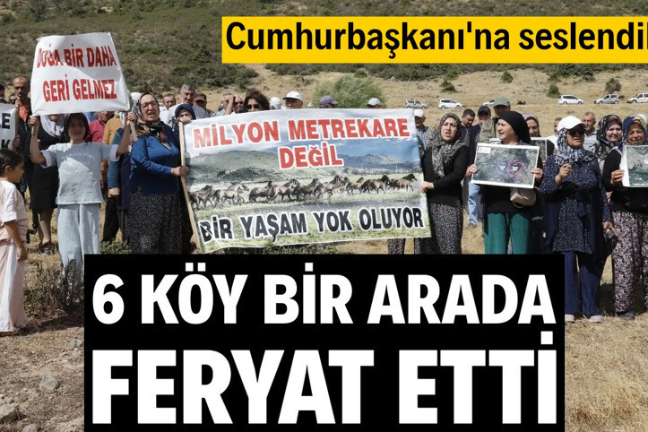 6 köy bir arada feryat etti! Cumhurbaşkanı'na seslendiler