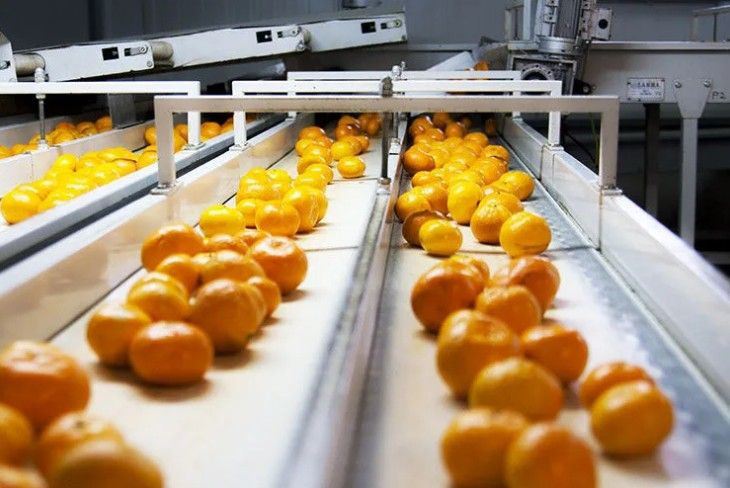 Mandalina alırken bunu yapın! Ekşi çıkmasını önlemenin pratik yolu - Resim: 5