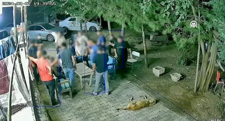 Narin cinayetinde 'aile toplantısı' mercek altında - Resim : 1