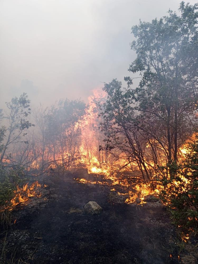 Ölmeden önceki görüntüleri ortaya çıktı: Şehitler son ana kadar mücadele etmiş - Resim : 3