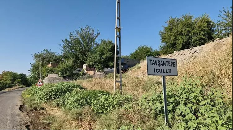 Narin Güran davası ertelendi - Resim : 1