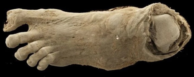 Antik Mısır mumyalarının sırları ortaya &ccedil;ıkıyor - Resim : 3