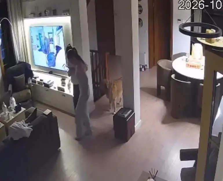 9 ameliyat geçirdi iyileştim dedi… 24 saat geçmeden yeniden hastanelik oldu - Resim : 2