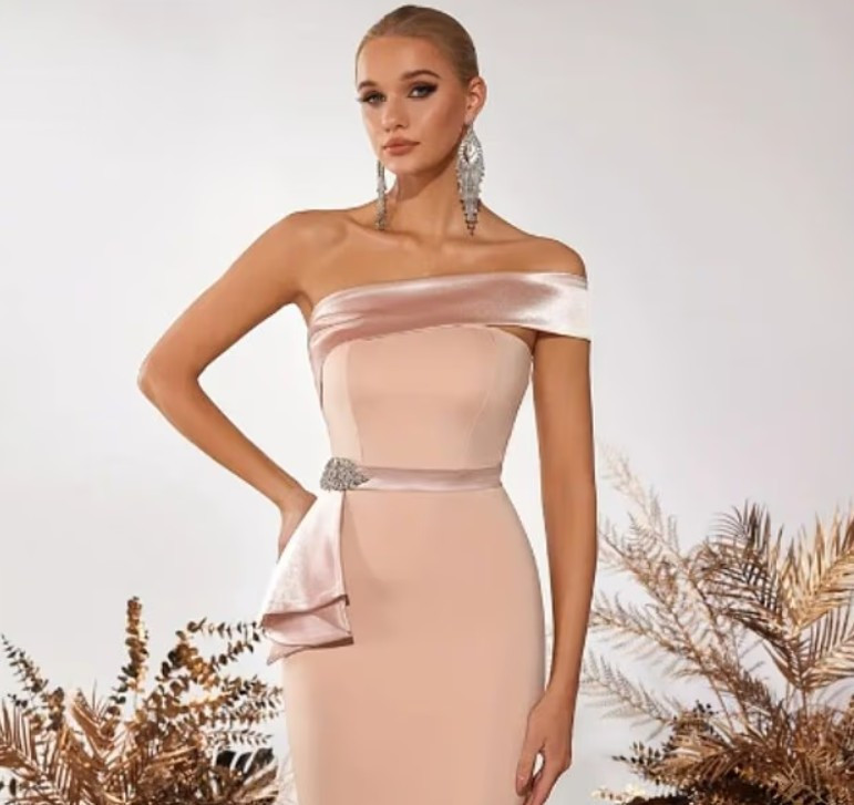 Bakan eşinin ucuz elbisesi gündem oldu - Resim : 2