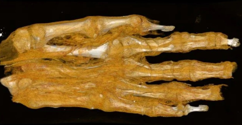 Antik Mısır mumyalarının sırları ortaya &ccedil;ıkıyor - Resim : 2