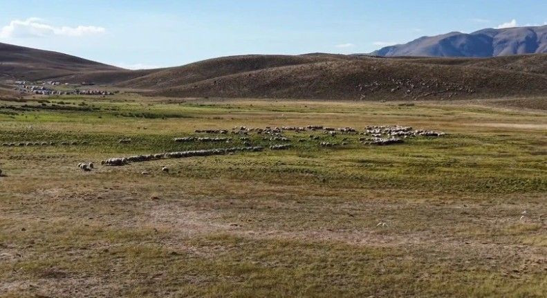 Maaşı tam 150 bin lira! Yeri, yemeği, sigarası da onlardan ama kimse çalışmıyor - Resim: 4
