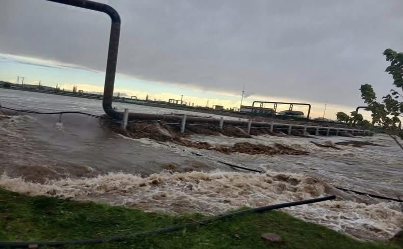 Tuzla Çayı taştı: Tarım arazileri su altında kaldı - Resim : 1