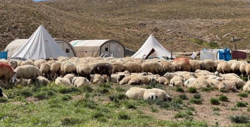 Maaşı tam 150 bin lira! Yeri, yemeği, sigarası da onlardan ama kimse çalışmıyor - Resim: 5