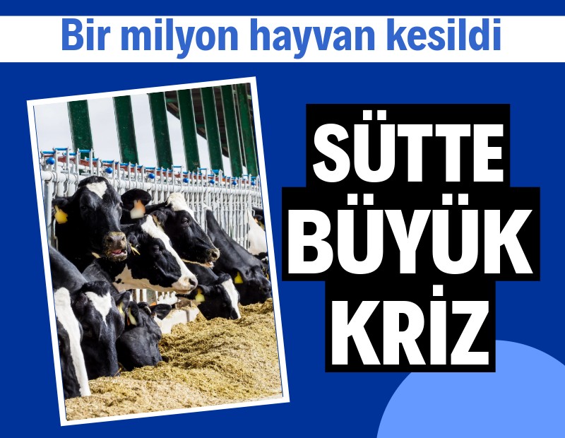 Son 2 yılda 1 milyon hayvan kesildi