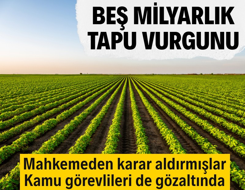 5 milyarlık tapu vurgunu: Bölünemez arazileri parçalayıp sattılar