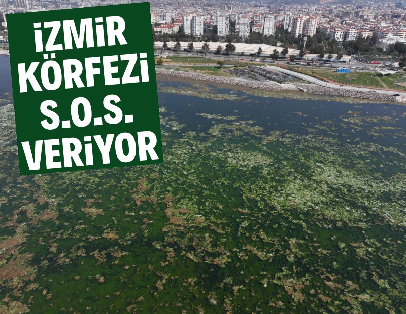 İzmir Körfezi alarm veriyor