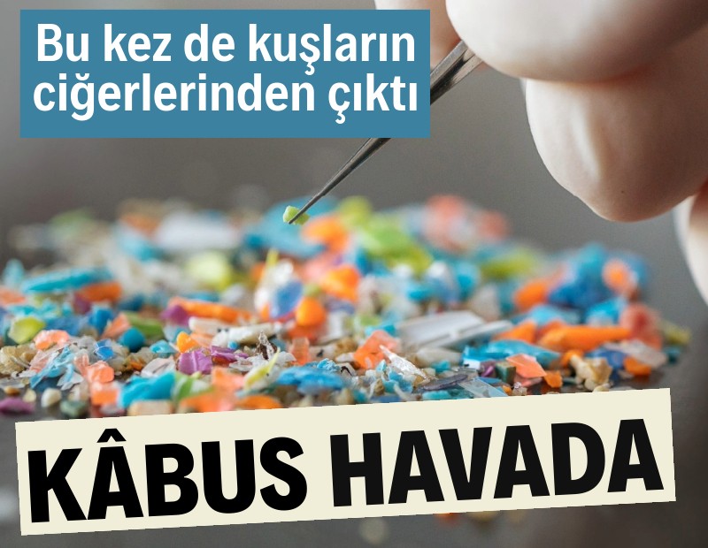 Kâbus havada! Bu kez kuşların ciğerlerinden çıktı