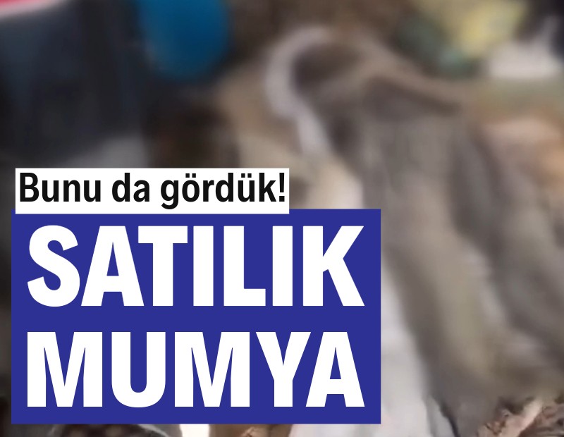 Niğde'de mumya satmaya çalışan 6 kişi yakalandı