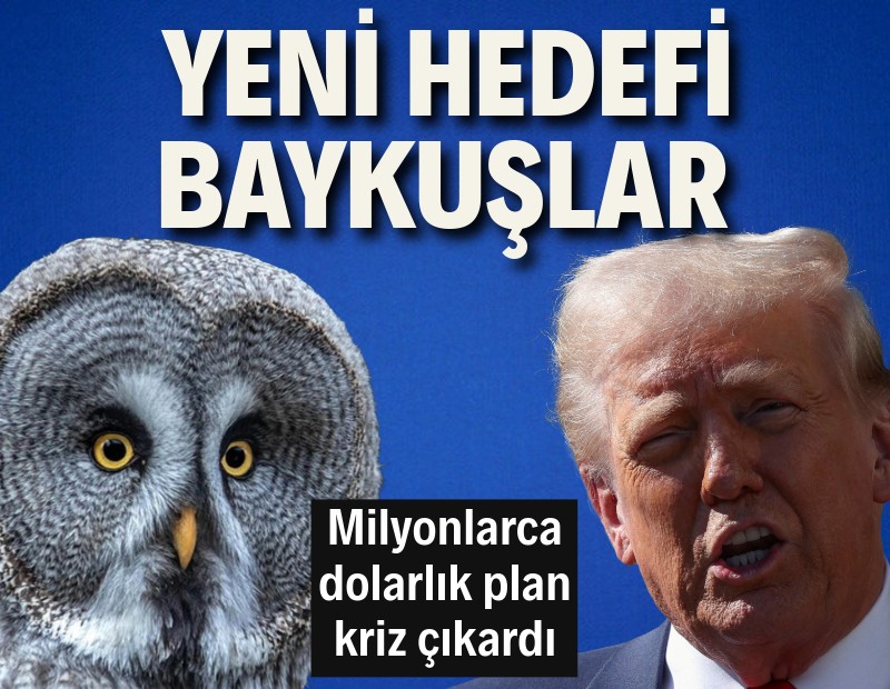 Trump'ın "çizgili baykuşları öldürün' emri kriz çıkardı