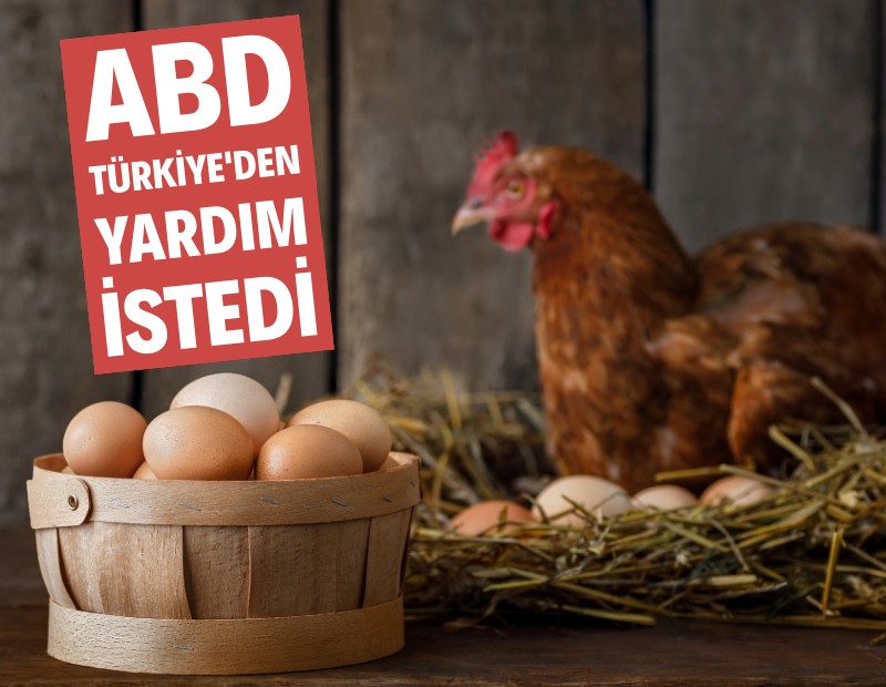 ABD yumurta krizi için Türkiye'den yardım istedi