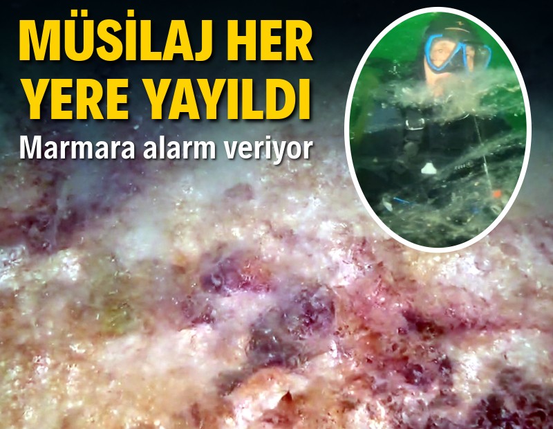 Marmara'da müsilaj istilası: 40 metre derinliğe kadar yayıldı