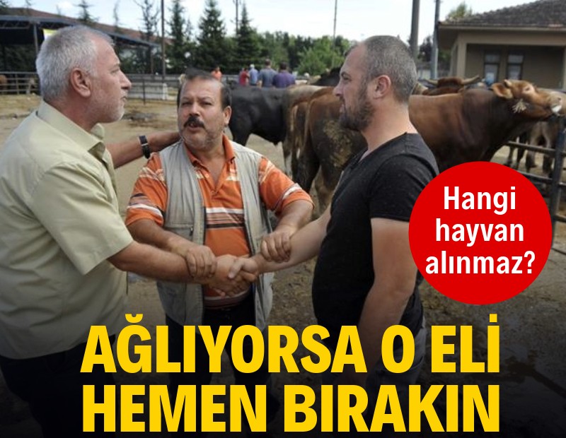Kurban alacaklar dikkat: Ağlıyorsa, o eli hemen bırakın
