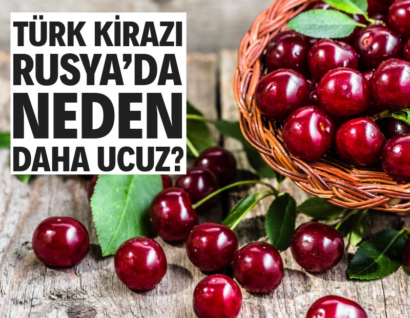 ‘Kiraz mevsimi kabine mevsimi’