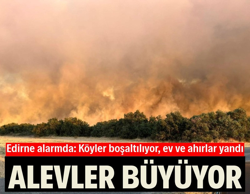 Edirne'deki orman yangını büyüyor