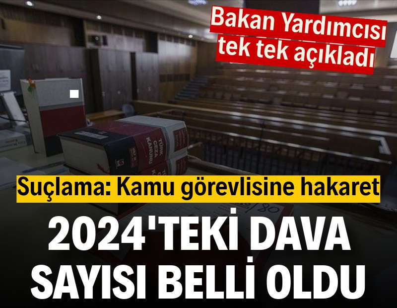 Suçlama 'kamu görevlisine hakaret': 2024'te açılan dava sayısı belli oldu