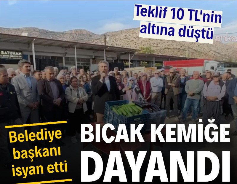 Teklif 10 TL'nin altına düştü, belediye başkanı isyan etti: Bıçak kemiğe dayandı