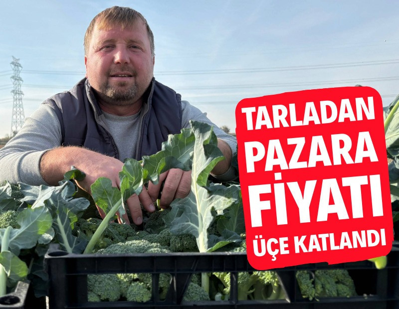 Tarladan pazara fiyatı üçe katlanıyor