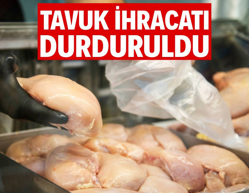 Tavuk ürünleri ihracatı durduruluyor