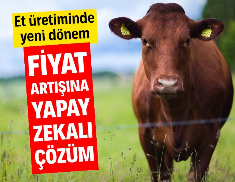 Et fiyatları rekor kırdı, yapay zeka devreye girdi