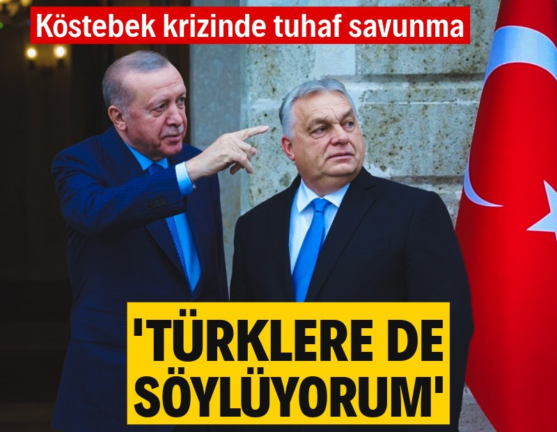 Köstebek krizinde tuhaf savunma: Türklere de söylüyorum