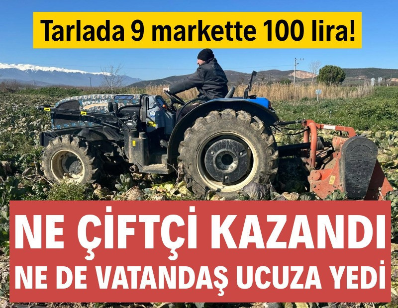 Tarlada 9 markette 100 lira! Ne çiftçi kazandı ne de vatandaş ucuza yedi