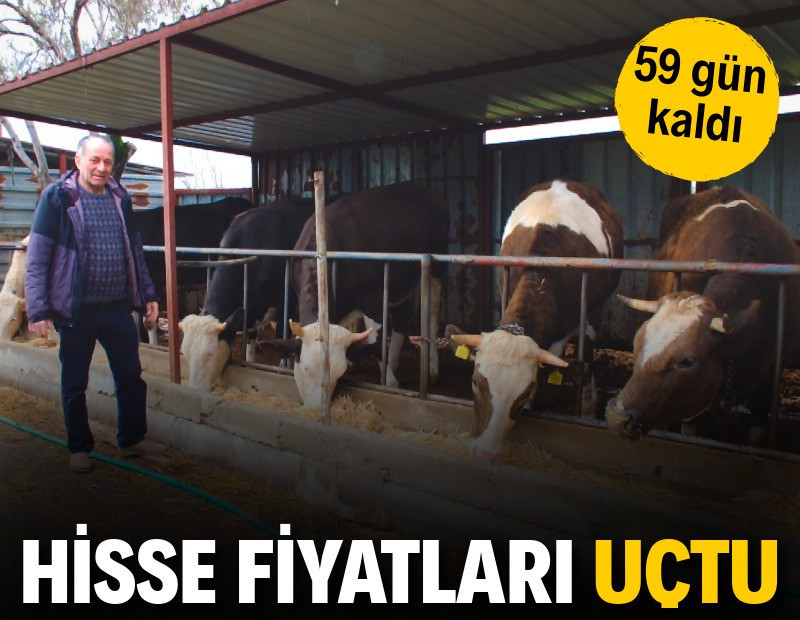 İki ay kaldı, hisse fiyatları uçtu