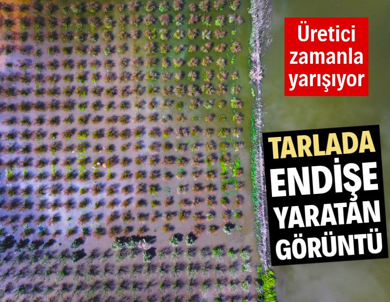 Üretici zamanla yarışıyor: Tarlada endişe yaratan görüntü