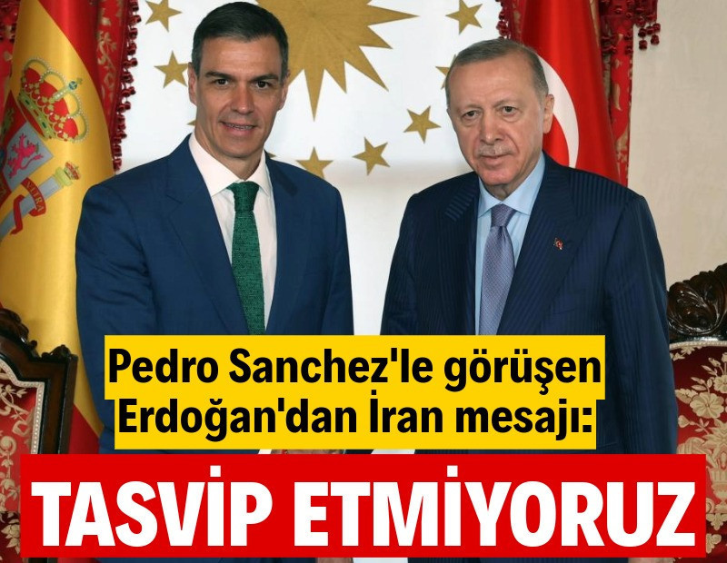 Cumhurbaşkanı Erdoğan, İspanya Başbakanı Pedro Sanchez'le görüştü