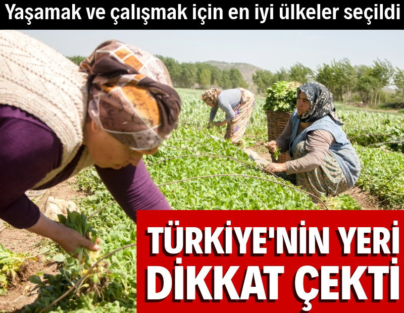 Yaşamak ve çalışmak için en iyi ülkeler seçildi: Türkiye'nin yeri dikkat çekti
