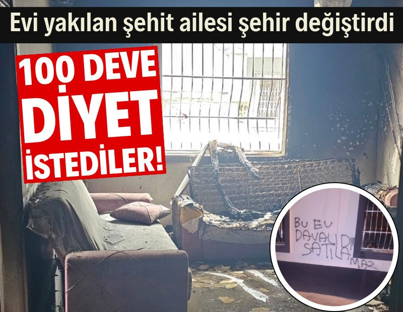 Evi yakılan şehit ailesi şehir değiştirdi: 100 deve diyet istediler