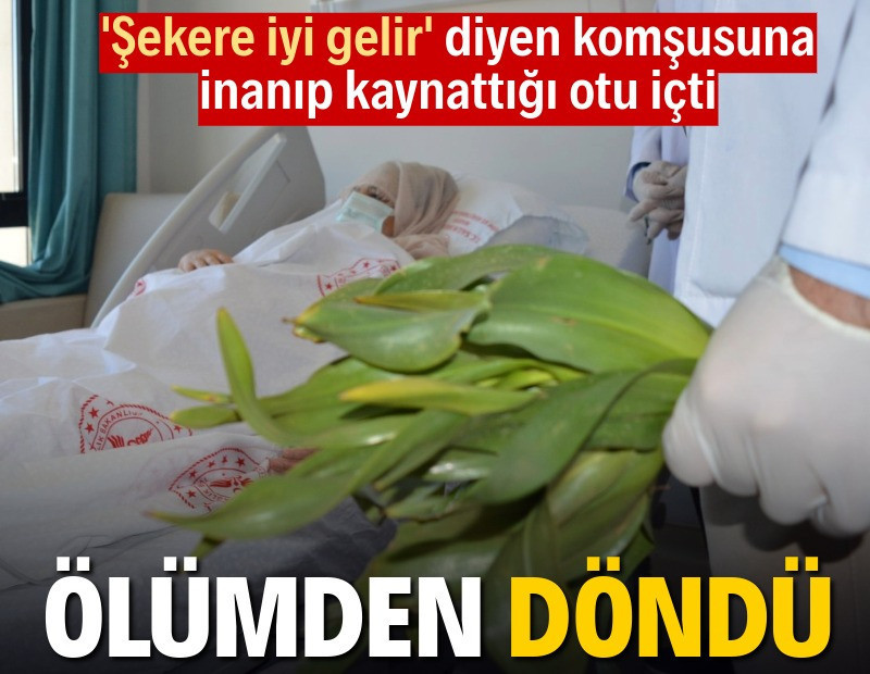 Şeker hastalığına iyi gelir diye ot kaynatıp içti, ölümden döndü
