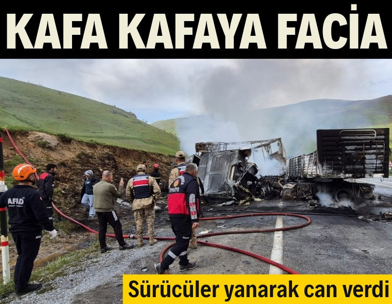 Kafa kafaya facia: Sürücüler yanarak öldü