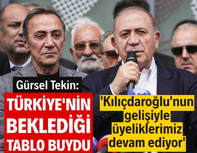 Gürsel Tekin: Türkiye'nin beklediği tablo buydu