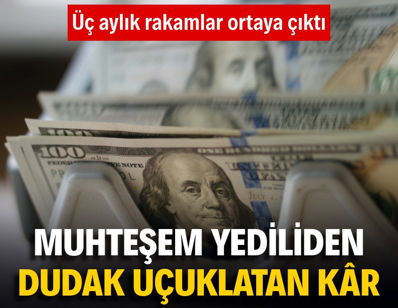 'Muhteşem Yedili'den üç ayda 240 milyar dolar kâr
