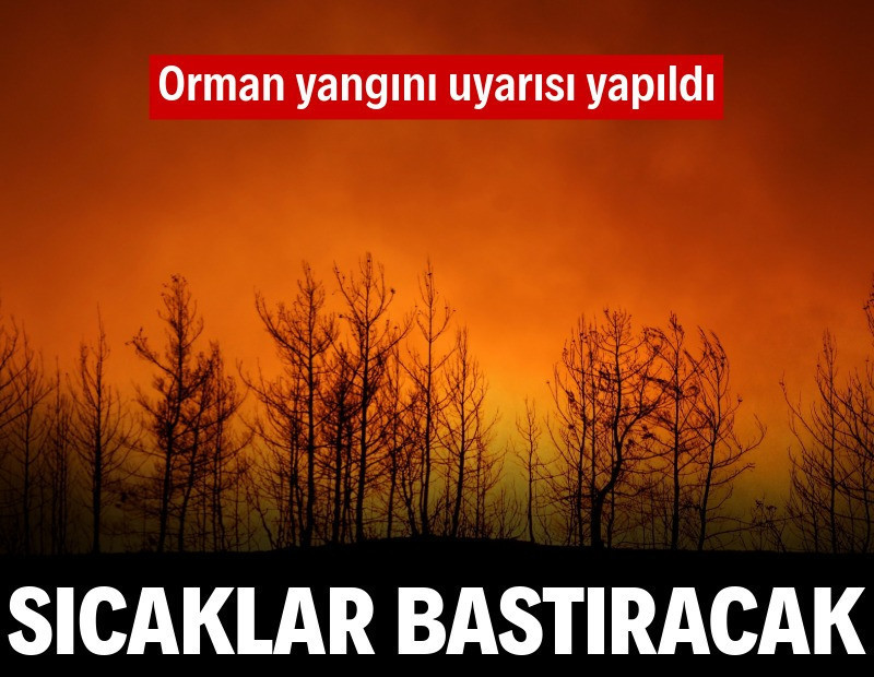 Sıcaklar geliyor: Orman yangını uyarısı yapıldı