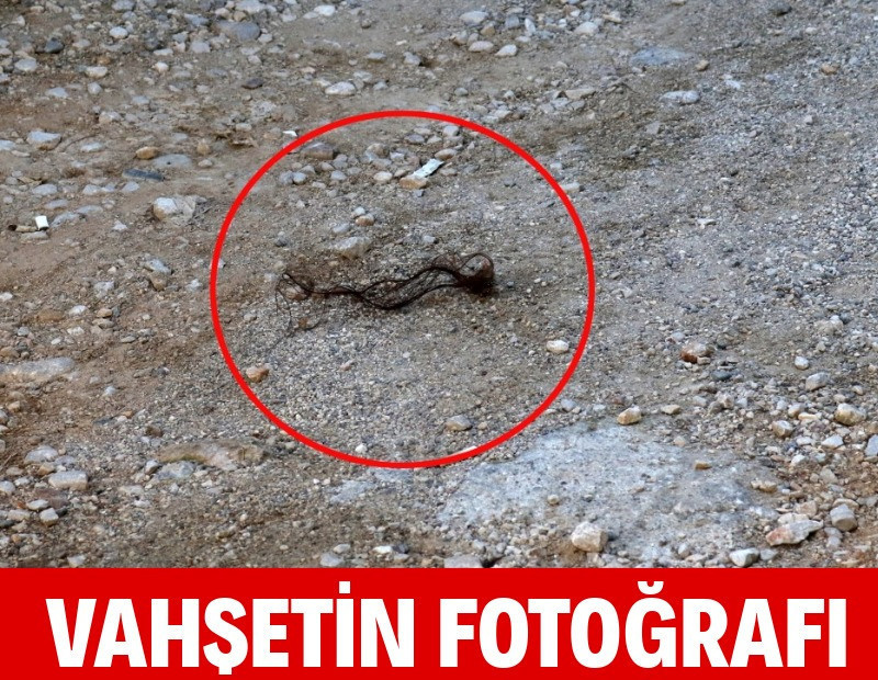 Bir katliam da Antalya'da: Eşini ve kayınpederini öldürdü
