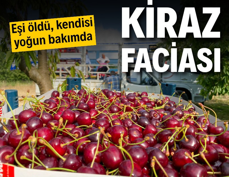 Kiraz faciası: 1 ölü, 1 yaralı