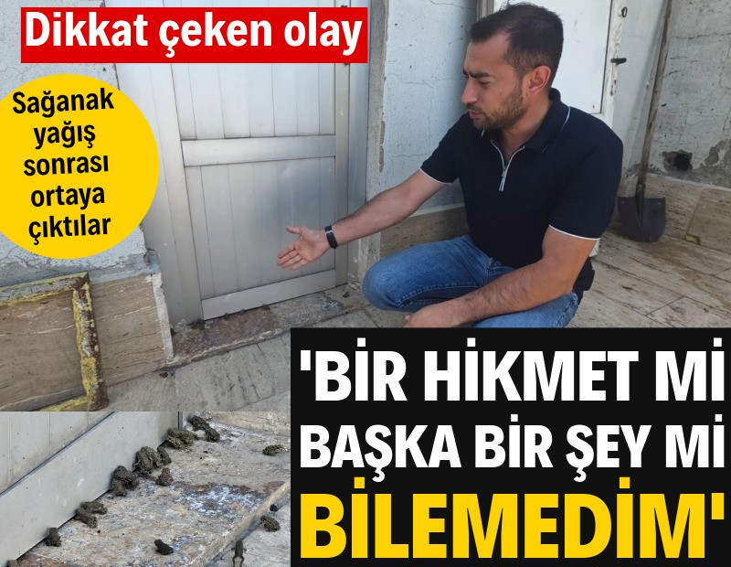 Sağanak yağış sonrası ortaya çıktılar: 'Hayatımda ilk defa böyle bir şey görüyorum'