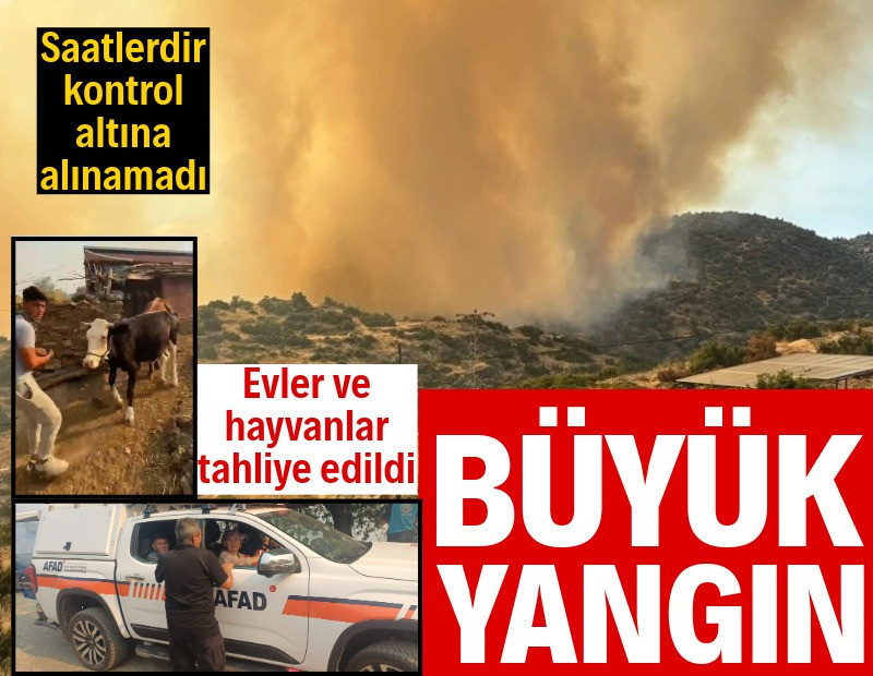 Aydın'da büyük yangın: Evler ve hayvanlar tahliye edildi