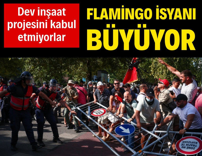 Flamingo Devrimi büyüyor: Dev inşaat projesini kabul etmiyorlar