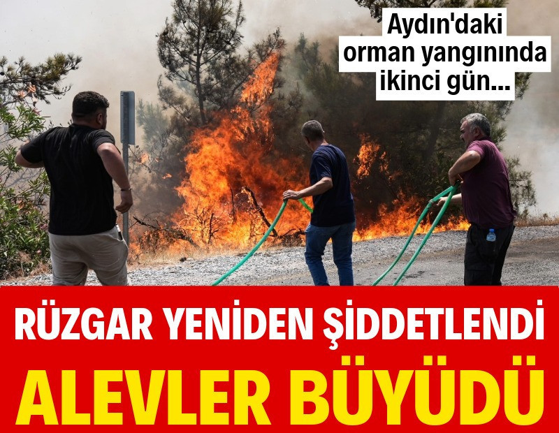 Aydın Çine'de alevler rüzgarın yeniden şiddetlenmesiyle büyüdü