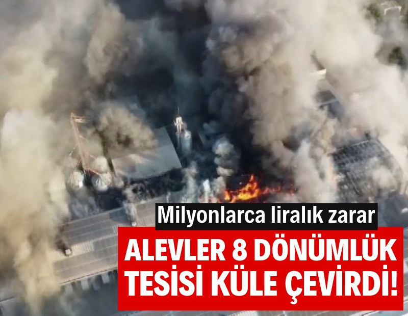 Alevler 8 dönümlük tesisi küle çevirdi! Milyonlarca liralık zarar